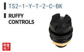 TS2-1-Y-T-2-C-BK