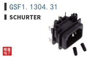 GSF1.1304.31