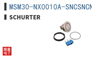 MSM30-NX0010A-SNCSNCNF-RIRGB024-Q0000-S