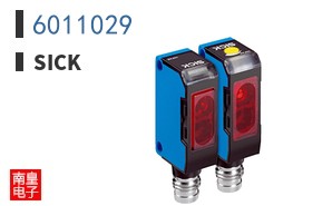 6011029