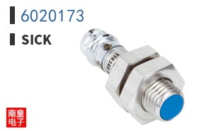 6020173