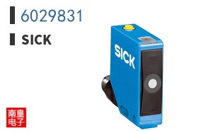 6029831
