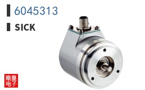 6045313
