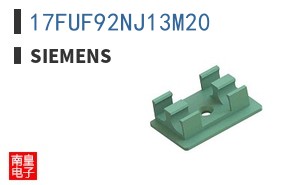 17FUF92NJ13M20