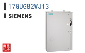 17GUG82WJ13