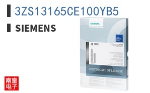 3ZS13165CE100YB5
