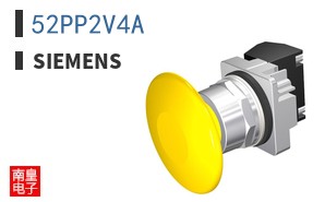 52PP2V4A
