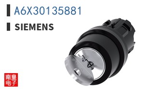A6X30135881