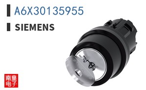 A6X30135955
