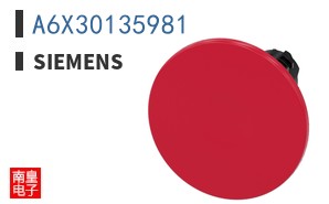 A6X30135981