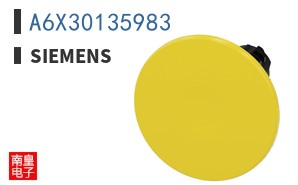 A6X30135983