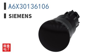 A6X30136106