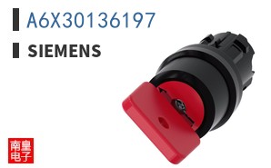 A6X30136197