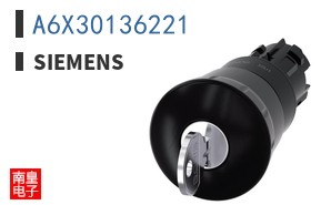 A6X30136221