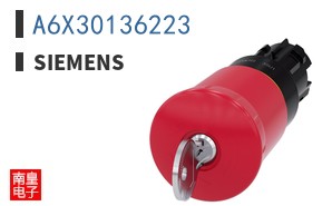 A6X30136223