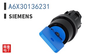 A6X30136231