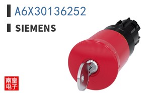 A6X30136252