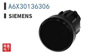 A6X30136306