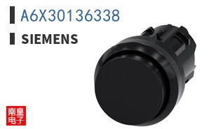 A6X30136338