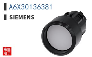 A6X30136381