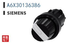 A6X30136386