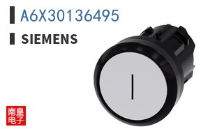 A6X30136495