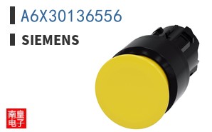 A6X30136556