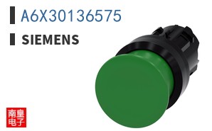 A6X30136575