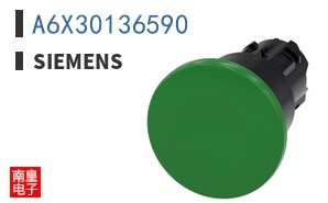 A6X30136590