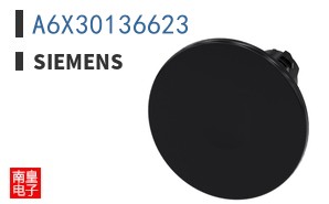 A6X30136623