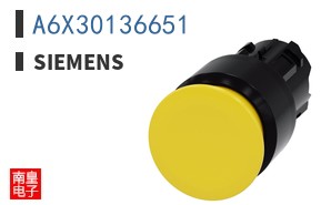 A6X30136651