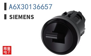 A6X30136657