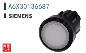 A6X30136687