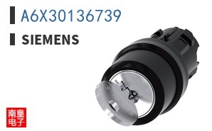 A6X30136739