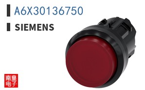 A6X30136750