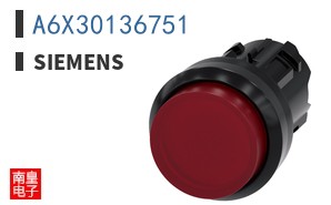 A6X30136751