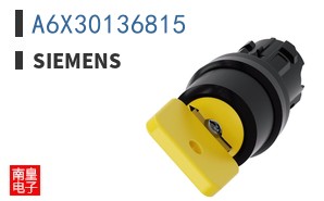 A6X30136815