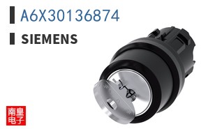 A6X30136874