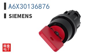A6X30136876