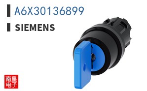 A6X30136899