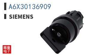 A6X30136909