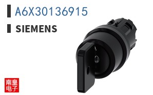 A6X30136915