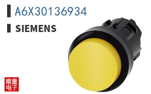 A6X30136934