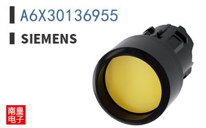 A6X30136955