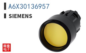 A6X30136957
