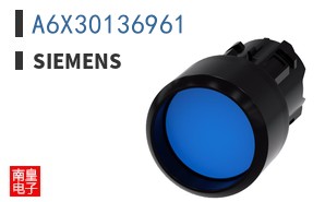 A6X30136961