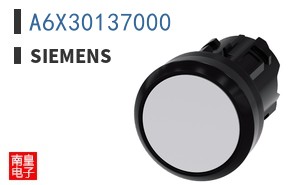 A6X30137000