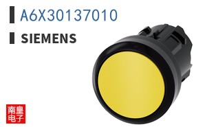 A6X30137010
