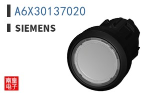A6X30137020