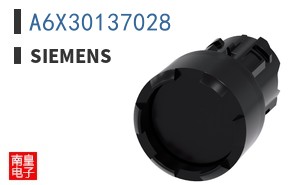 A6X30137028
